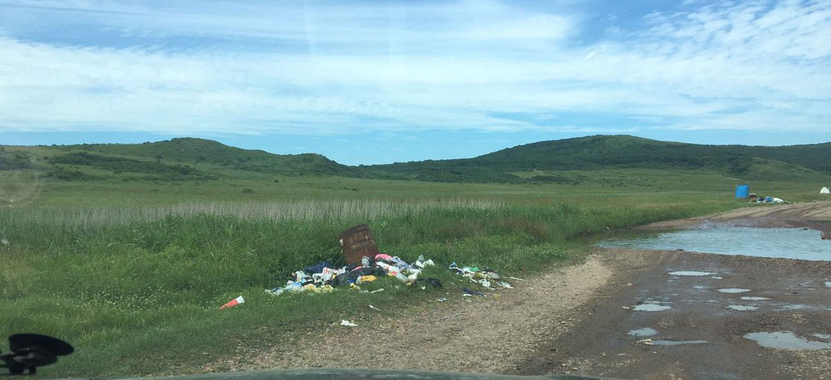 Туристы-вандалы губят краснокнижные растения в Приморье