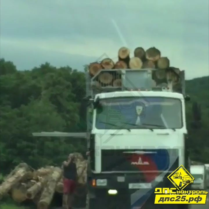 Грузовик с лесом обрушил мост в Приморье (фото)