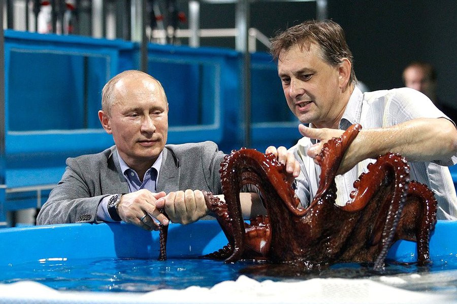 Обвиняемый в растратах при строительстве Приморского океанариума Андрей Поплавский отпущен из СИЗО