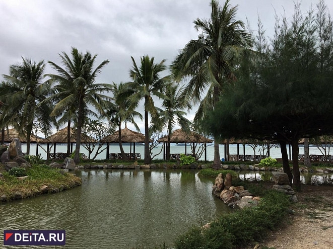 Школьника в Таиланде забыли в машине на пять часов