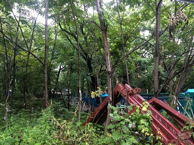 Коммерсанты нанесли ущерб целому району Приморья