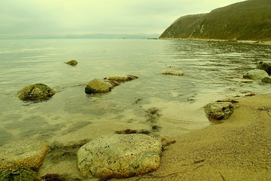 МЧС Хабаровска озвучило главную причину гибели людей на воде