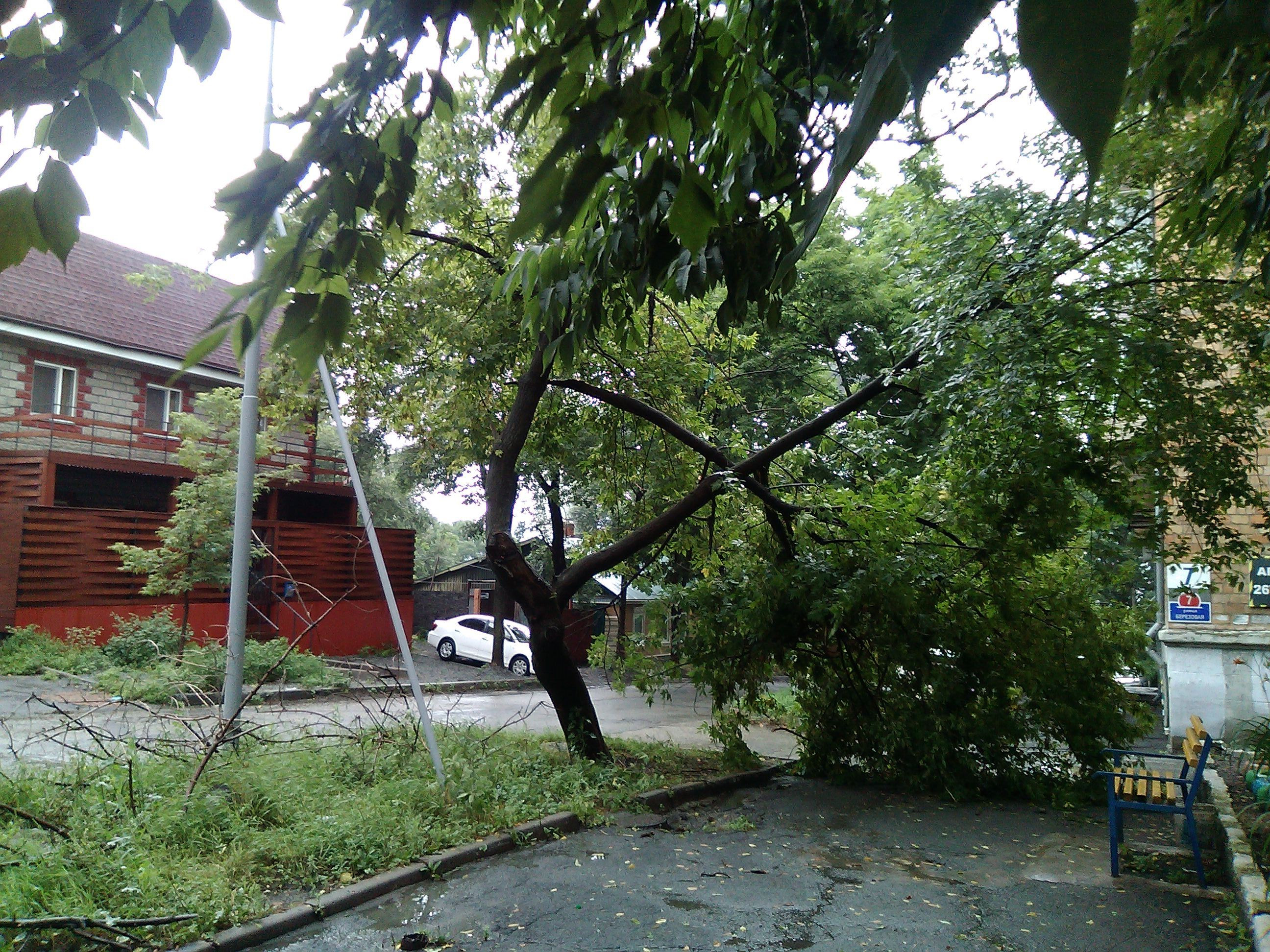 В Приморье из-за последствий осадков ограничено движение