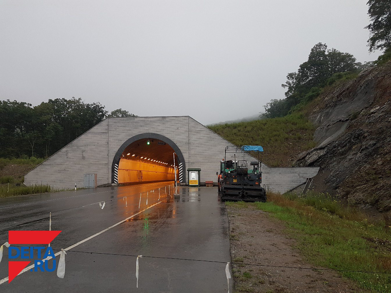 О судьбе животных в затопленном районе Приморья рассказал эксперт