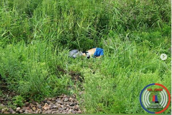 Во Владивостоке мужчина угодил под поезд