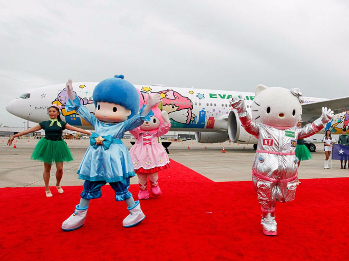 Найден самый «кошачий» самолет в мире