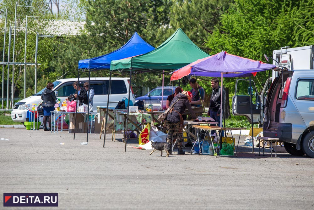Зернобобовые Приморья растут "под китайцами"