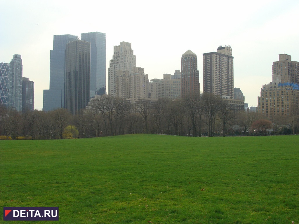 Трамп благодарит Путина за высылку американских дипломатов