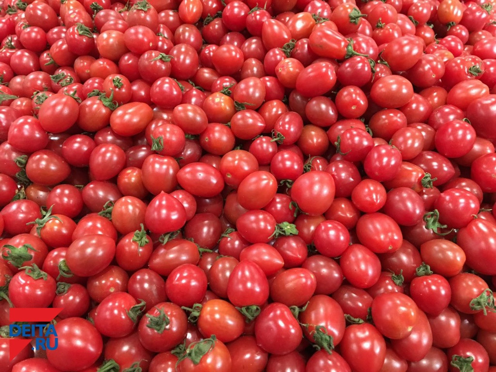 В Якутию пришли новые технологии