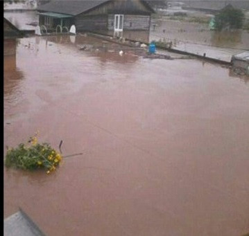 Несколько домов более непригодны для жизни после наводнения в Уссурийске