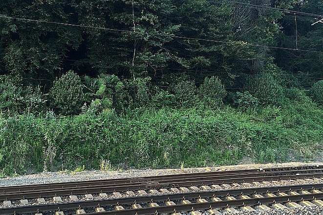 Важный участок железной дороги восстановлен в Приморье