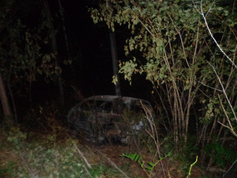 Автомобилист сгорел заживо в Приморье