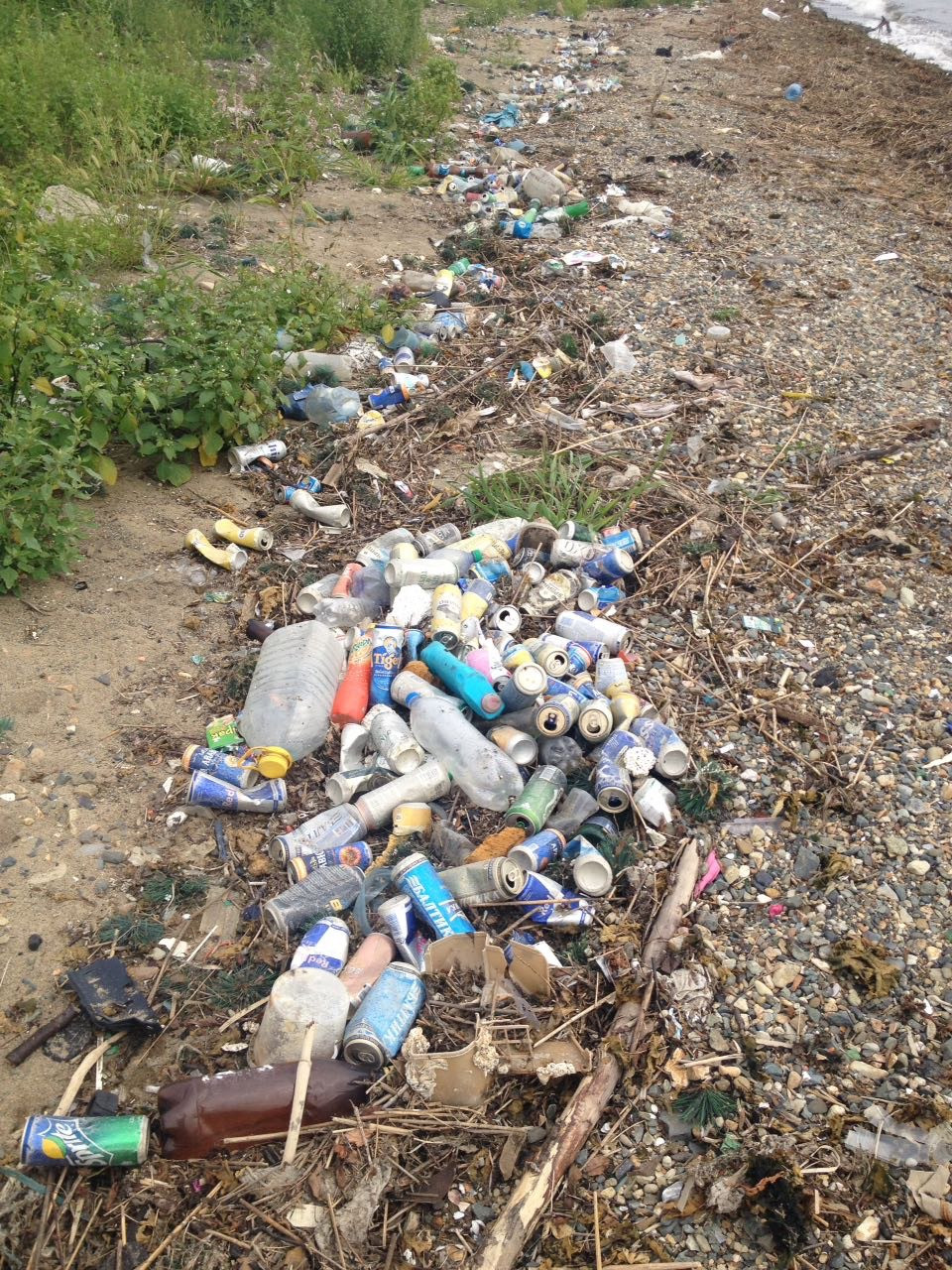 Большой субботник фонда ВВН пройдет на пляже Второй речки