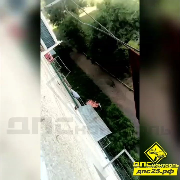 Жуткое падение малыша из окна в Приморье закончилось удачно (видео)