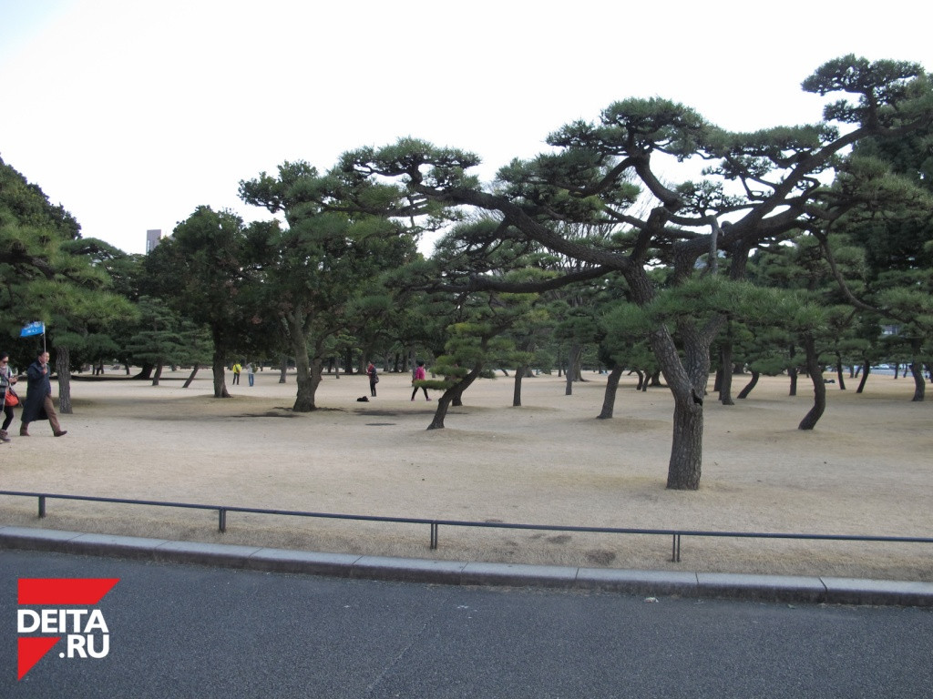 На скоростное шоссе сошел оползень в Японии