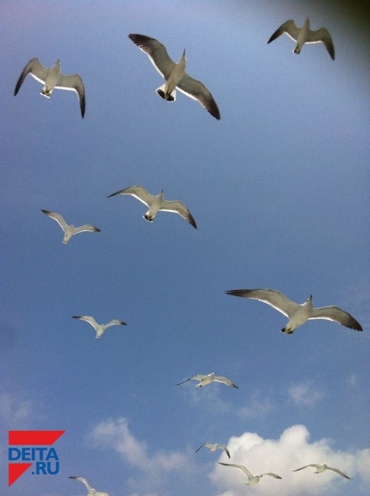 Синоптики рассказали, когда закончится тепло