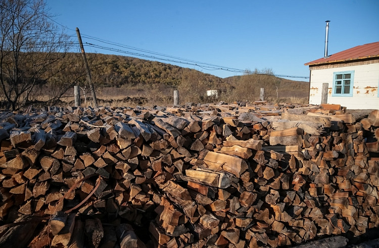 Приморцев приглашают поделиться своими дровами