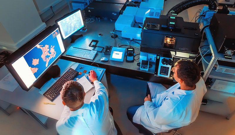 Ученые ДВФУ хотят победить эпилепсию