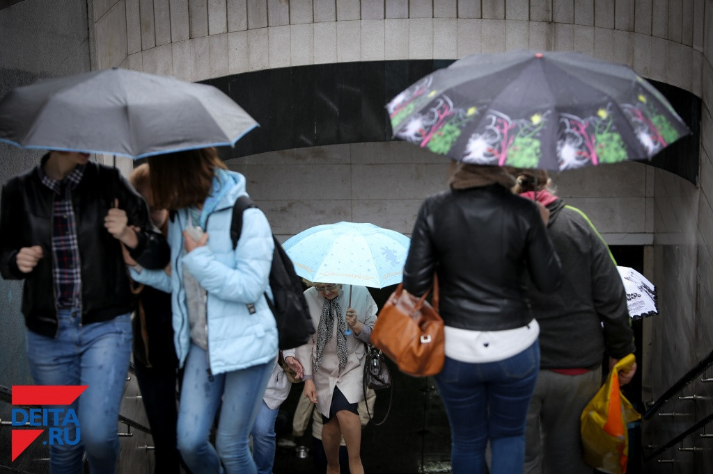 В Приморье ждут прихода сильных дождей