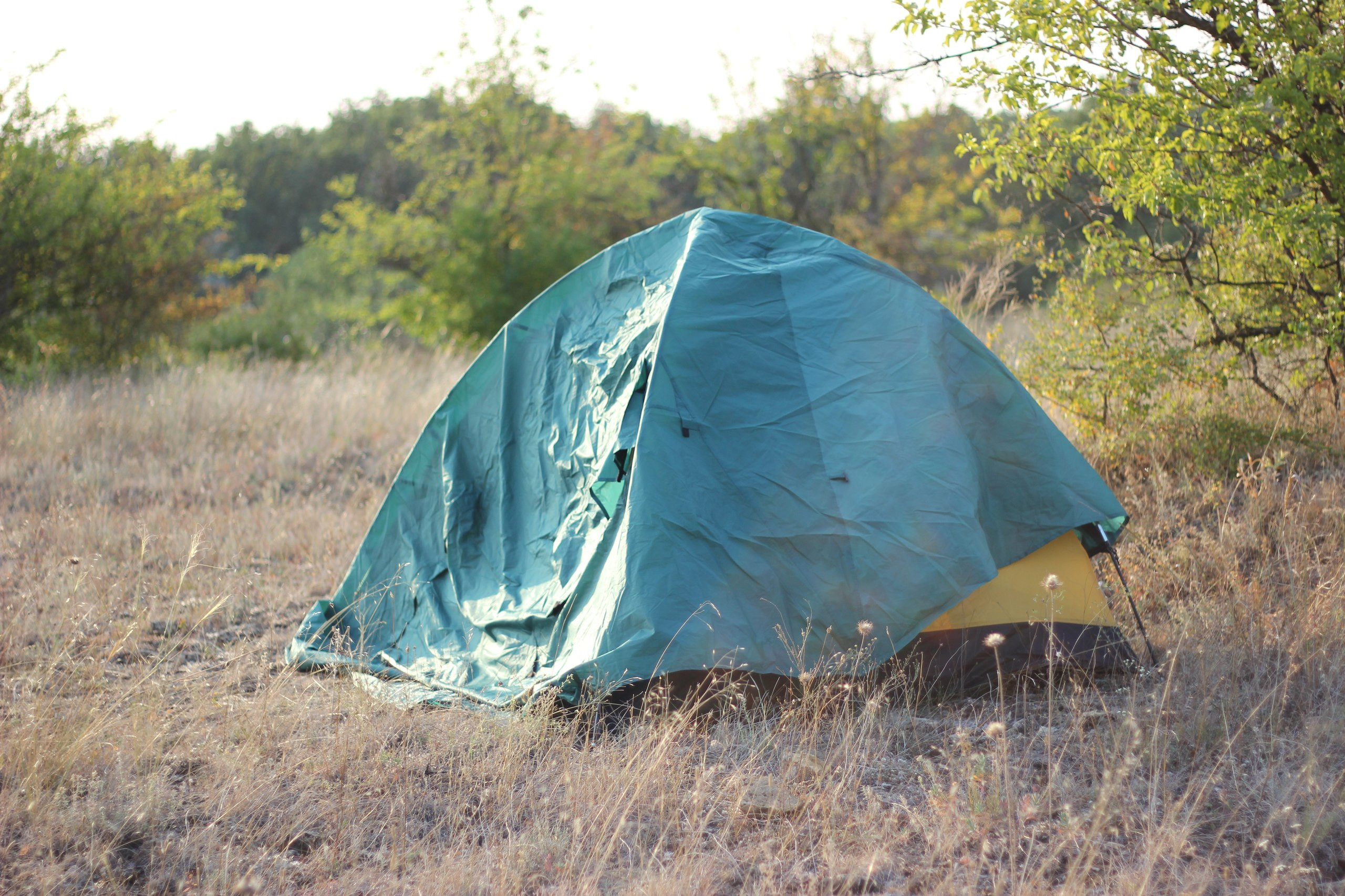 К большинству детских лагерей России есть претензии