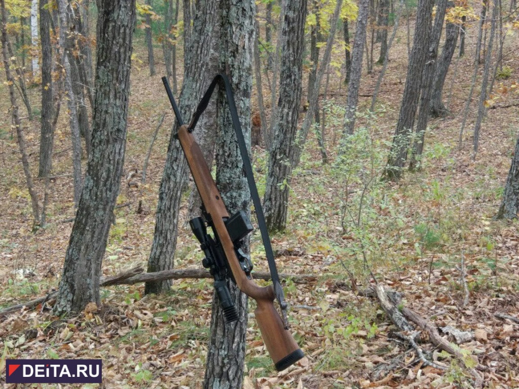 Из самого сердца приморского заповедника китайцы хотели украсть женьшень