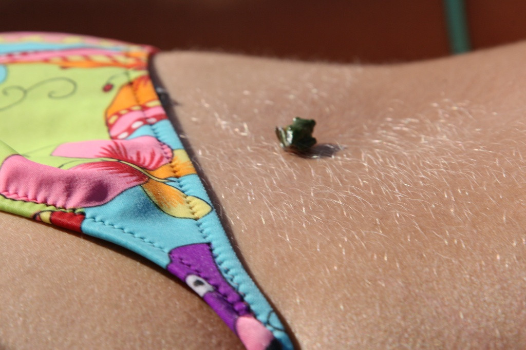 Лягушки, которые манят китайцев - в чем их секрет?