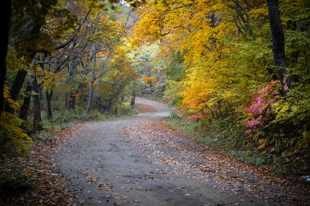 Закон о лесной амнистии вступил в силу