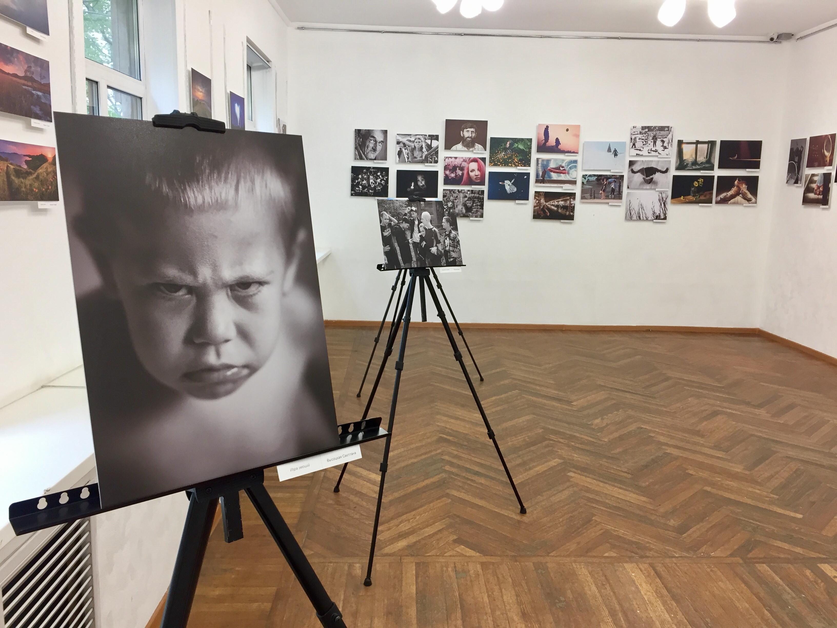 Во Владивостоке определены лучшие фотоснимки жизни Приморья (фото)