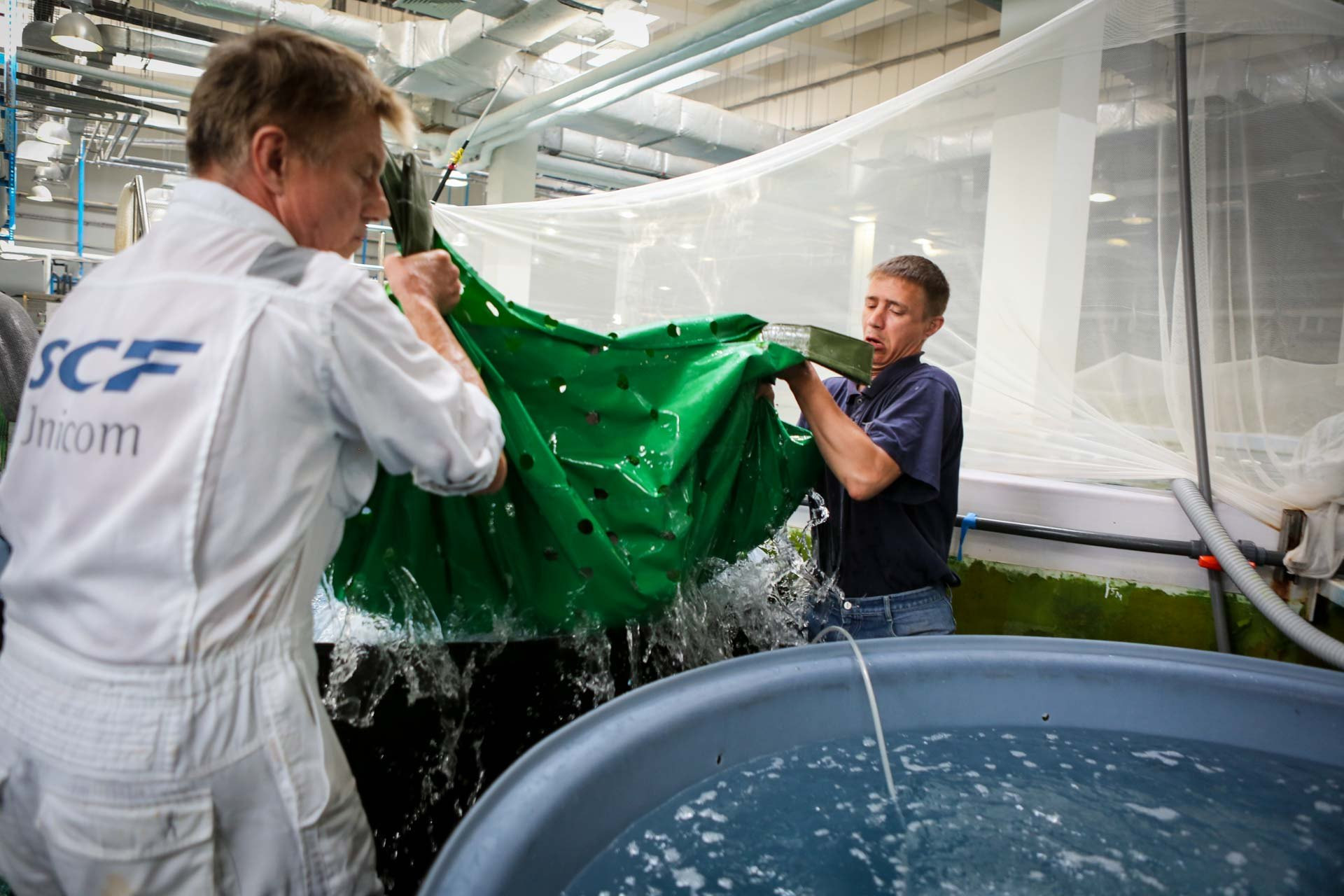 Новые акулы появились в Приморском океанариуме