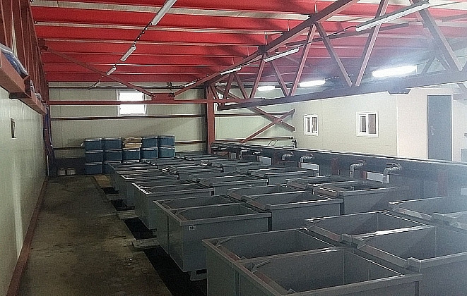 Побережье Камчатки ждут дорогостоящие нововведения