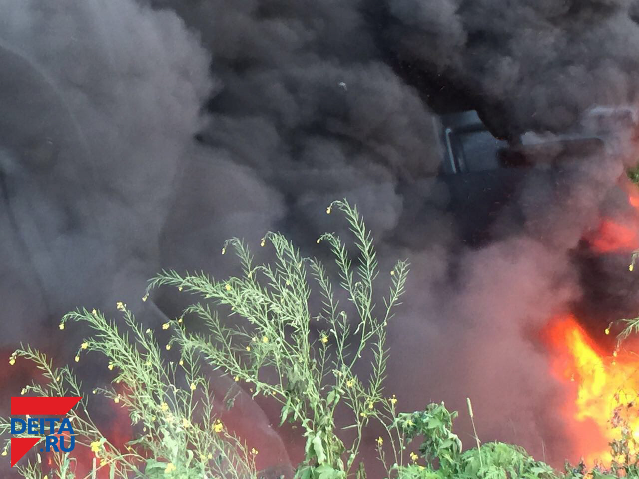 Путин поручил разобраться в причинах трагедий в России