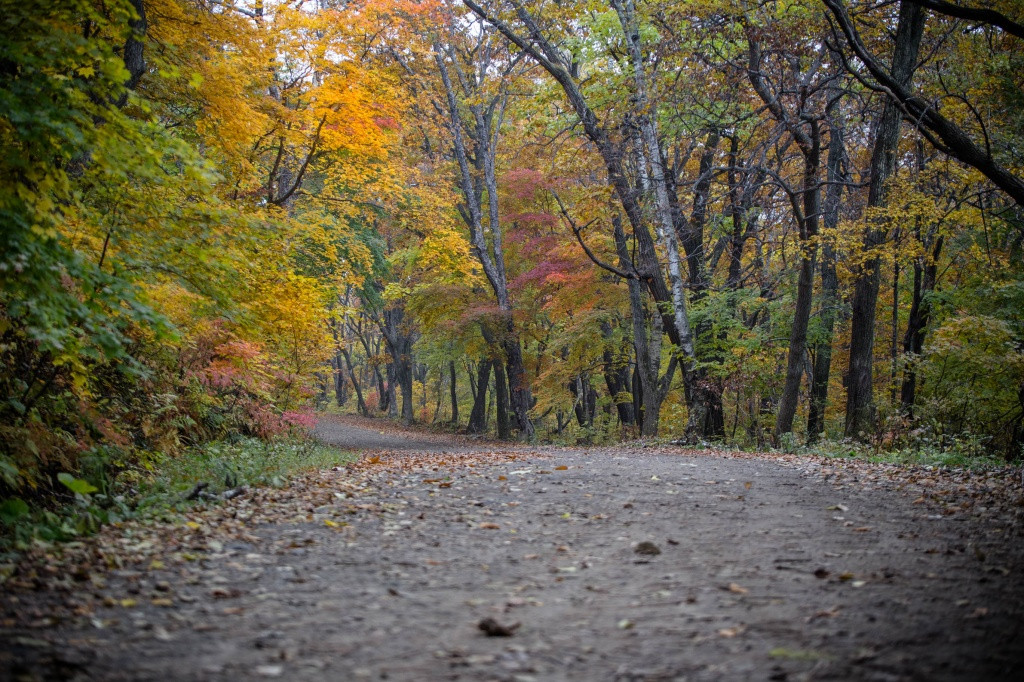 Очередной приморец пропал в лесу