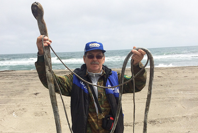 Странную сущность из морских глубин обнаружили на Курилах (фото)