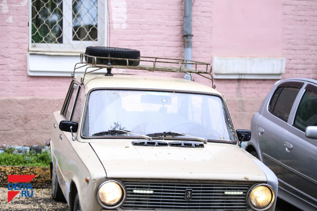 Жительница Владивостока кидается игрушками в людей и авто