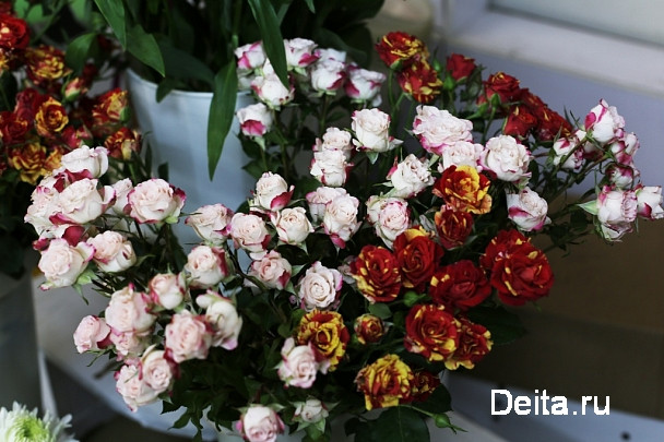 Опасные цветы из Колумбии не пустили во Владивосток