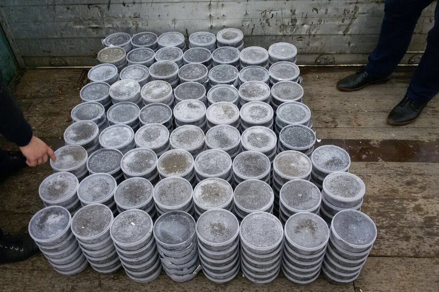 Особо ценный биоресурс найден в неприметном авто в Хабаровске