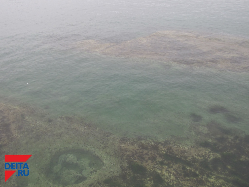 Стали известны подробности о трагедии на пляже Владивостока