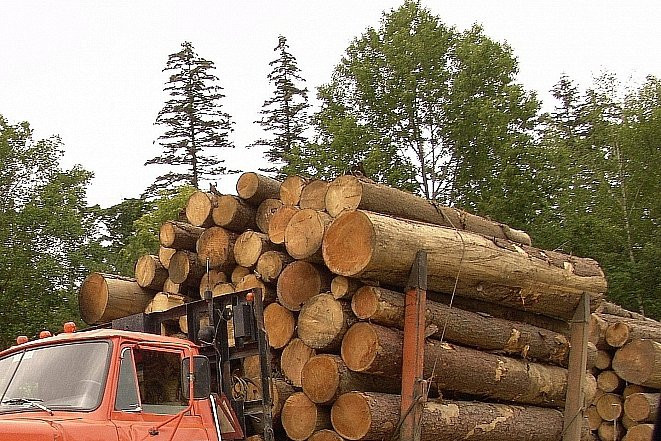 Принципиально новый продукт начнут создавать в Приморье