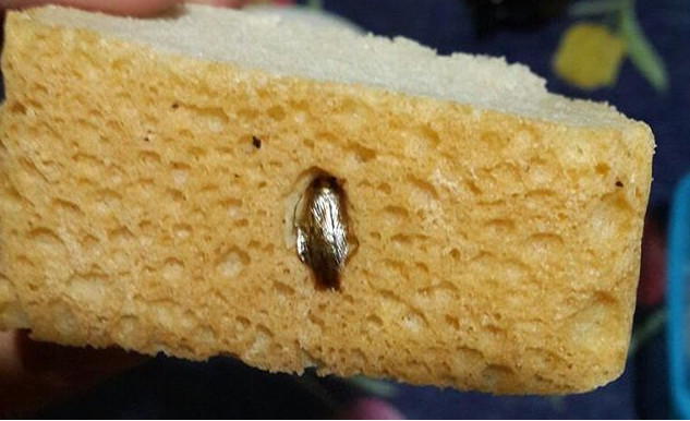 Хлеб с начинкой из тараканов продают в Приморье (фото)