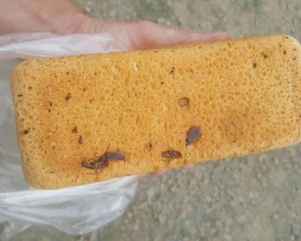 История с тарканами в хлебе в Приморье получила продолжение (фото)