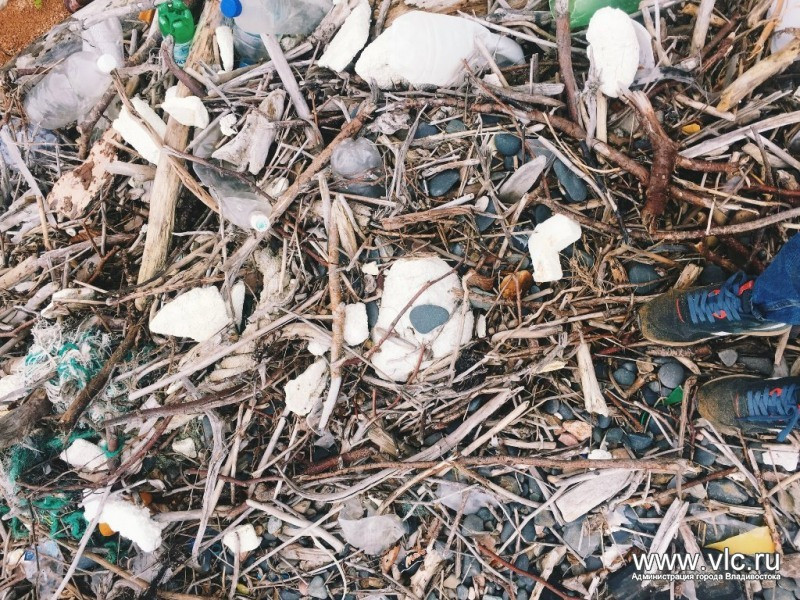 Остров Рейнеке очищен от мусора