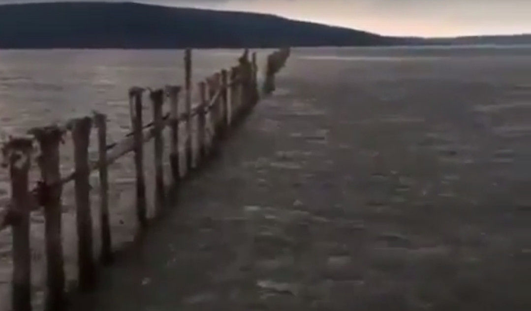 Голодные медведи выходят к людям в Хабаровском крае (видео)