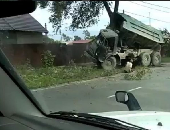 В Приморье из-за выбежавшей на дорогу собаки КамАЗ врезался в дерево