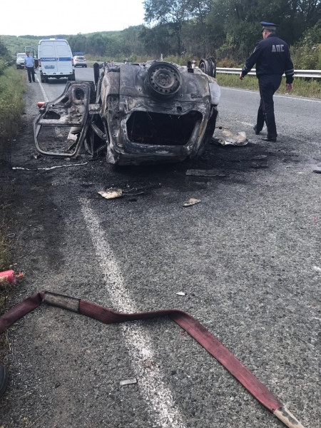 Полиция разбирается в причинах смертельного ДТП с участием рейсового автобуса в Приморье