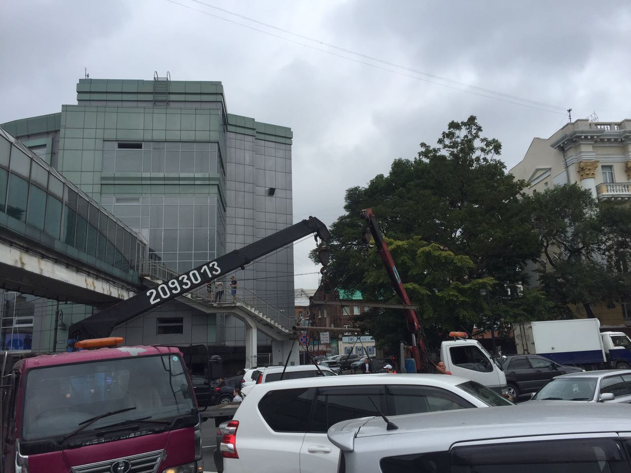 Отряд эвакуаторов орудует в центре Владивостока (фото)