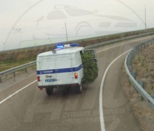 Полицейская «буханка» с коноплей замечена в Приморье