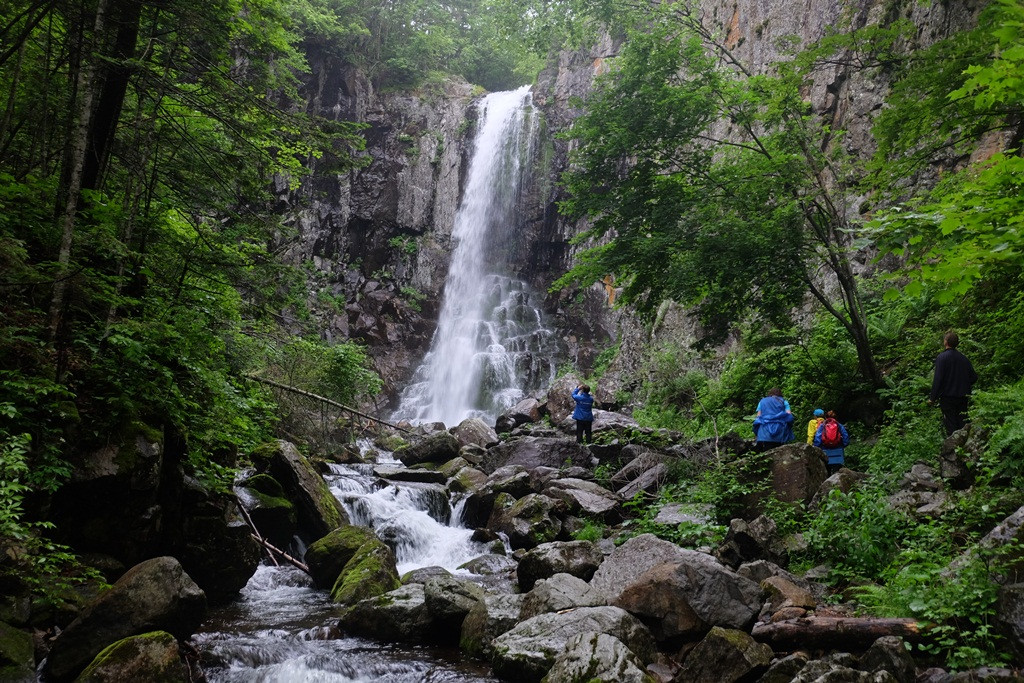 Об экологической обстановке на приморских реках расскажут в эфире "Медиаметрикс. Владивосток"