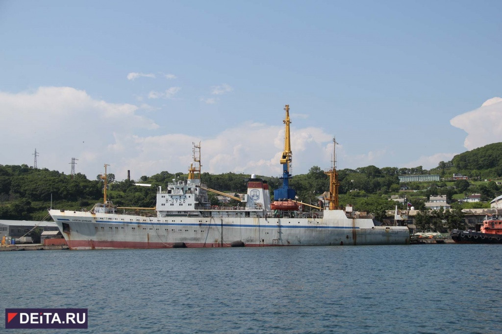 На ВЭФ обсудили будущее важнейшей отрасли Приморья