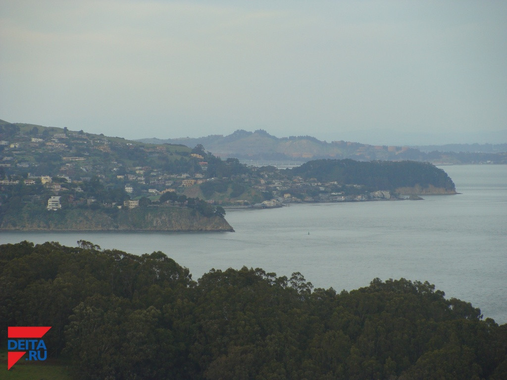 Более 70 тысяч человек укрылись в убежищах Флориды