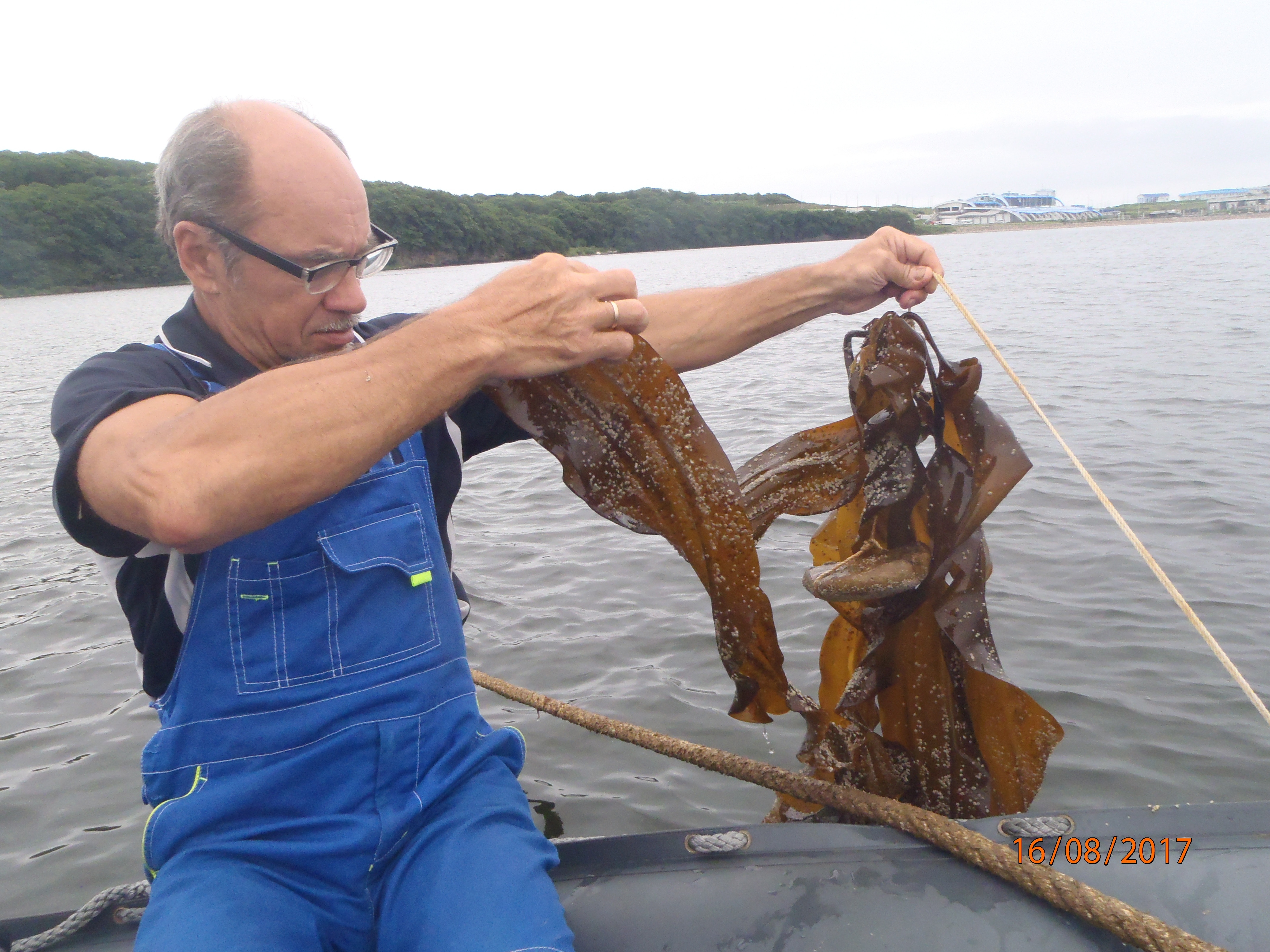 Морской огород появился во Владивостоке